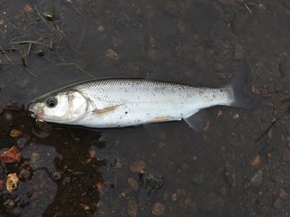 DSCN6919.jpg