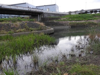 DSCN6920.jpg