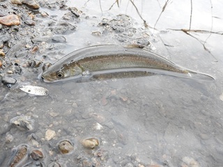 DSCN6921.jpg