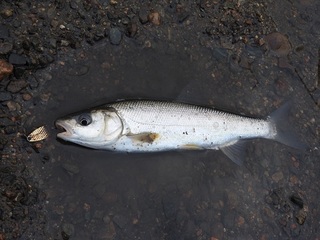 DSCN6922.jpg