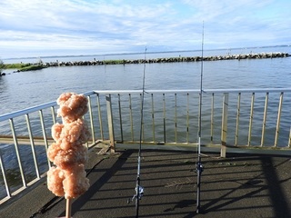 DSCN6973.jpg