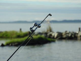 DSCN6976.jpg