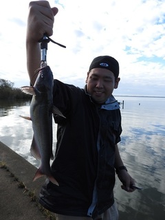 DSCN6977.jpg