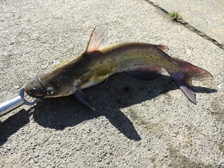 DSCN6988.jpg