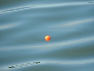 DSCN7000.jpg