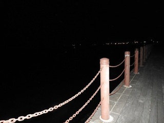 DSCN7225.jpg