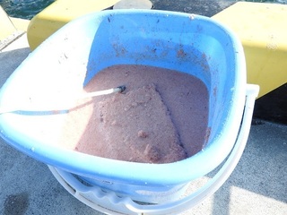 DSCN7252.jpg