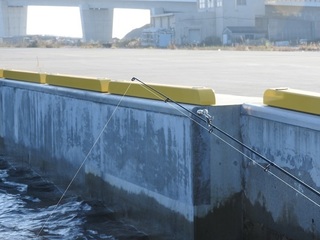 DSCN7256.jpg