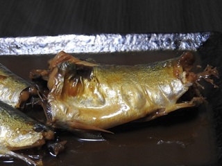 DSCN7262.jpg