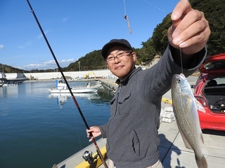 DSCN7409.jpg