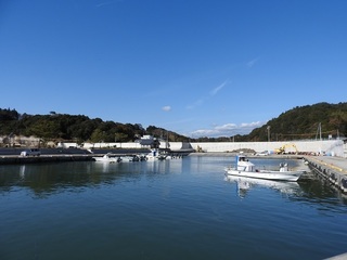 DSCN7410.jpg