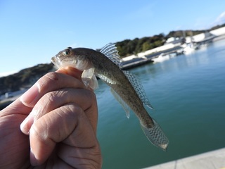 DSCN7425.jpg