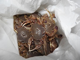 DSCN7539.jpg