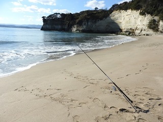 DSCN7544.jpg