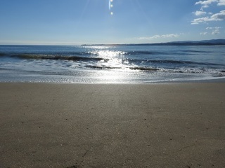 DSCN7547.jpg