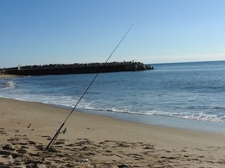 DSCN7558.jpg