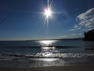 DSCN7564.jpg