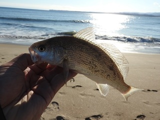 DSCN7571.jpg