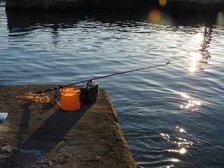 DSCN7578.jpg
