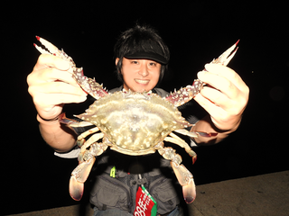 マチャ 消える魚.png