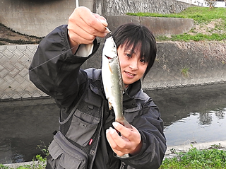 マチャ 蛭田川 ウグイ.png