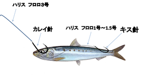 仕掛け イメージ.png