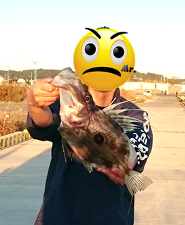 無題.png