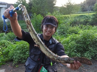 RSCN5538.jpg