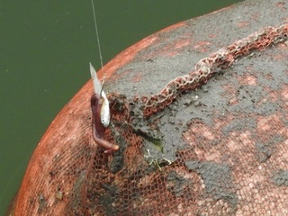 RSCN5721.jpg
