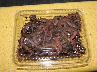 DSCN7726.jpg