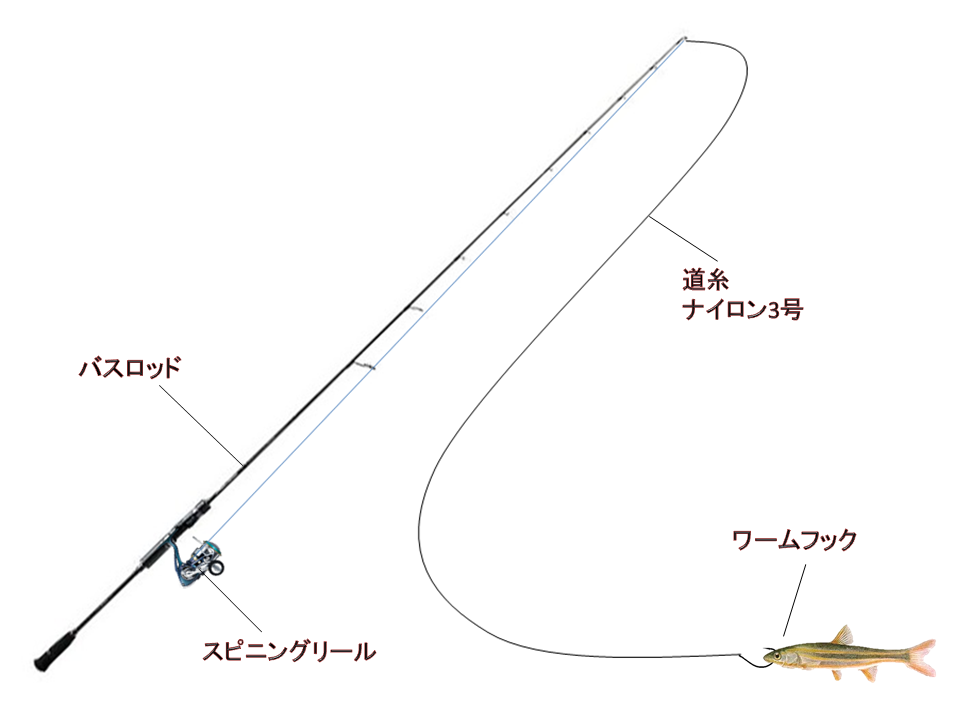 ライブベイトでブラックバスｉｎ釜戸川 釣りキチ マチャの 三平三平によろしく