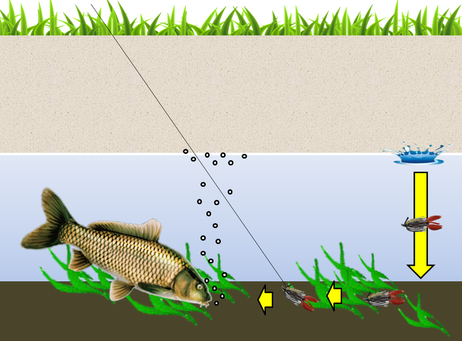 最高かつ最も包括的な鯉 ワーム釣り 魚のすべて