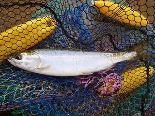 P1000142.jpg