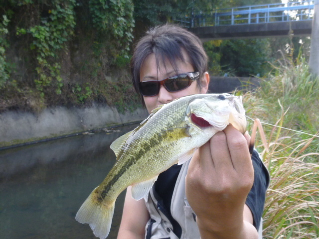 渋川のブラックバス 鮫川水系でバス釣り 釣りキチ マチャの 三平三平によろしく